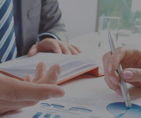 indian bromide and chloride llp
